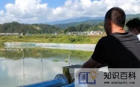 5亩鱼塘一年多少利润3