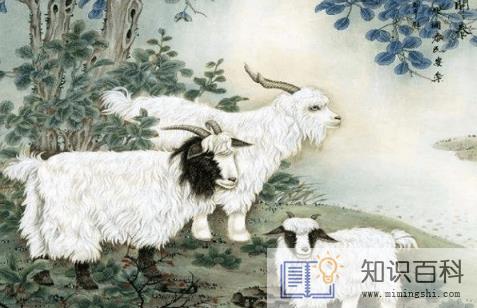 适合穷人没本钱的养殖项目推荐2
