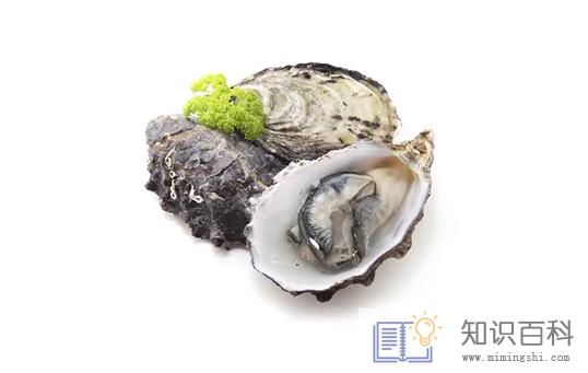 生蚝怎么开壳简单又快又完整1
