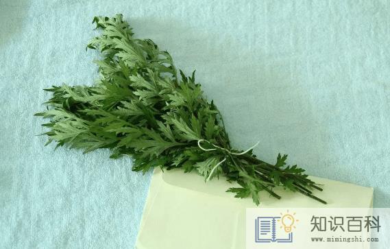 艾草杆子和艾草叶子哪个效果好3