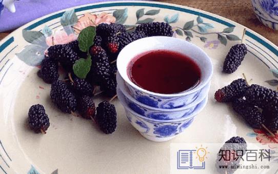 桑葚泡酒多久把桑葚渣捞出来2
