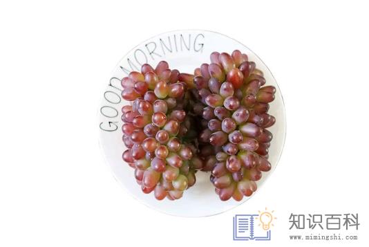 茉莉香葡萄吃多了会上火吗2