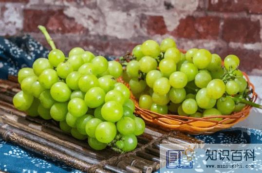 阳光玫瑰葡萄有籽和无籽哪个更健康1