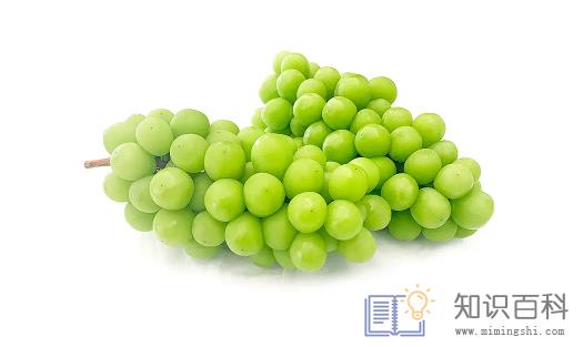 阳光玫瑰葡萄是热性还是凉性1
