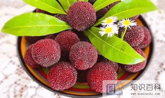 洗杨梅用小苏打还是盐水2