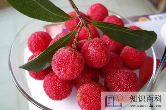 杨梅和牛奶能不能一起吃1
