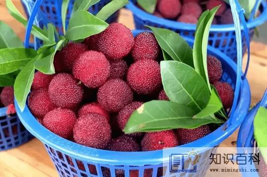 杨梅和牛奶能不能一起吃2