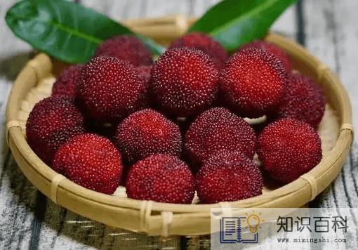 杨梅和牛奶能不能一起吃3