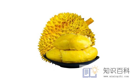 榴莲熟过头了是不是会苦3