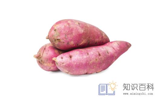 红薯怎么保存不会烂掉发芽2