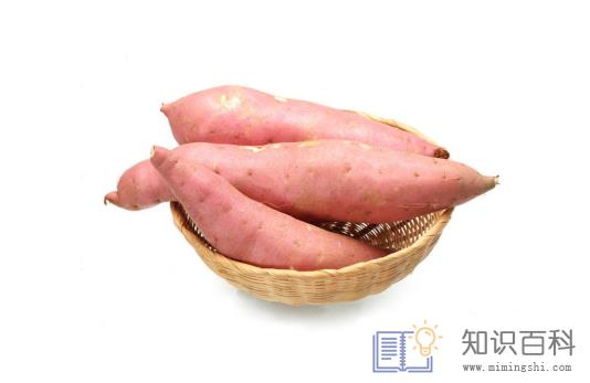 红薯怎么保存不会烂掉发芽3