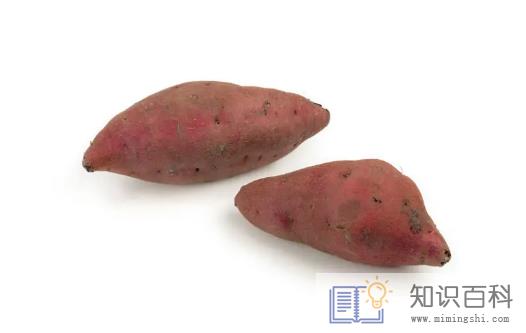 红薯怎么保存不会烂掉发芽4