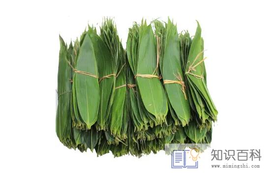 新鲜粽叶为什么不香1
