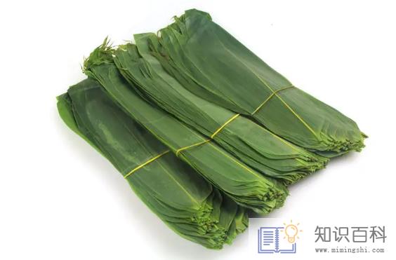 新鲜粽叶为什么不香3