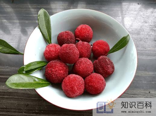 杨梅是红的好还是黑的好2