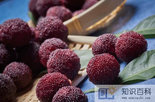 杨梅是红的好还是黑的好3