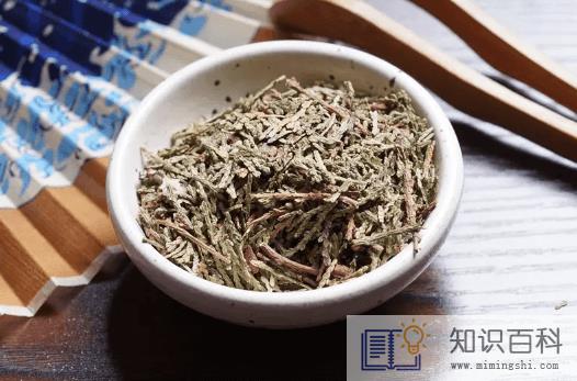 侧柏叶的功效与作用及禁忌2