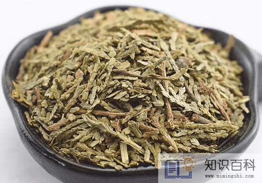 侧柏叶的功效与作用及禁忌3