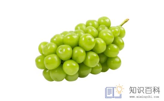 阳光玫瑰葡萄和晴王葡萄是一个品种吗1