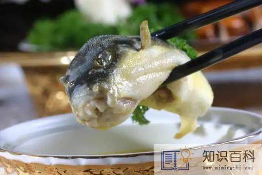 吃河豚会不会中毒2