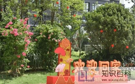 4年没交维修基金的后果2