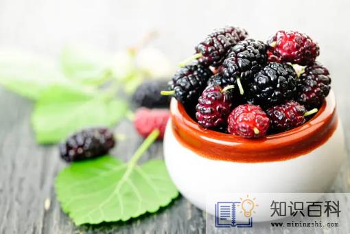 桑葚干和鲜桑葚哪个营养高1