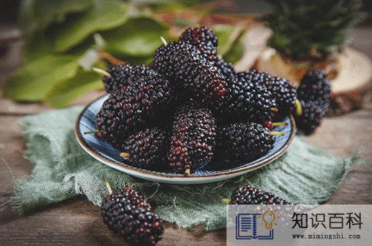 桑葚干和鲜桑葚哪个营养高2