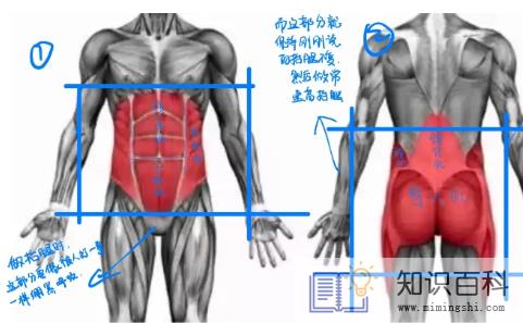 日常生活中需要收紧核心吗2