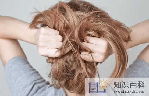 夏天的头皮能不能别痒了1