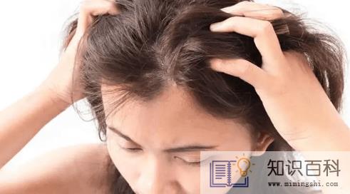 夏天的头皮能不能别痒了2
