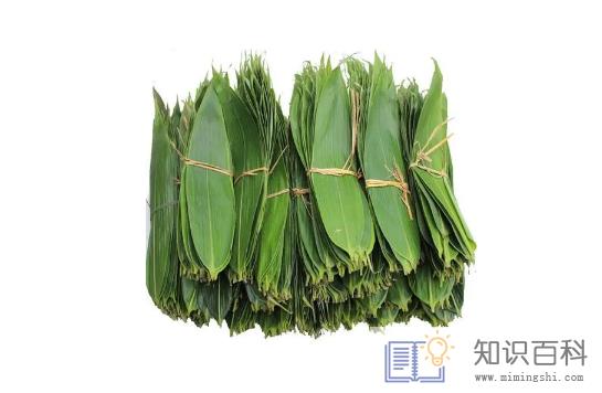 粽叶多长多宽合适1