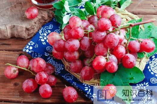 葡萄表面的白霜是酵母菌吗2