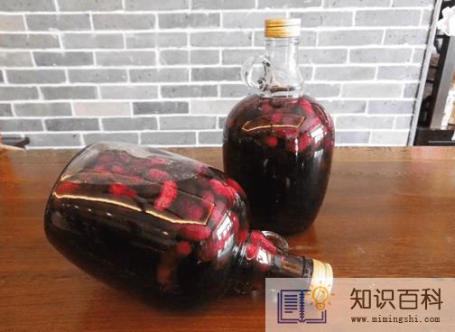 桑葚酒泡了三年了还能喝吗3