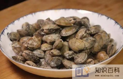 花蛤放了一夜吐舌头能吃吗3