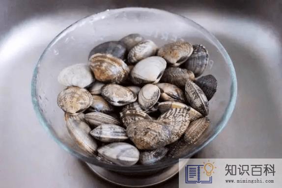 花蛤放自来水里能活12小时吗3