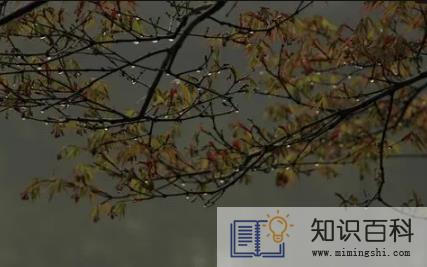 2022夏至下雨好还是天晴好2