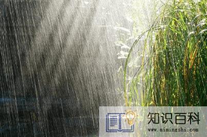 2022夏至下雨好还是天晴好3