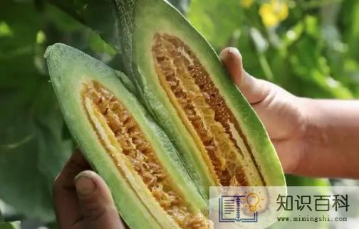 羊角蜜的皮和籽能吃吗4