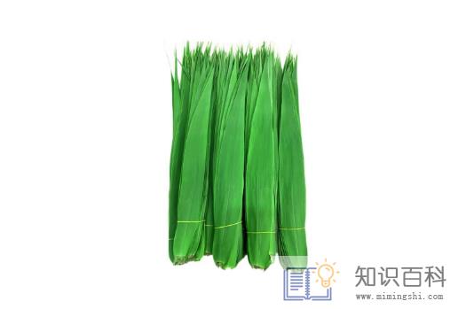 粽叶煮好了要不要继续泡在水里2