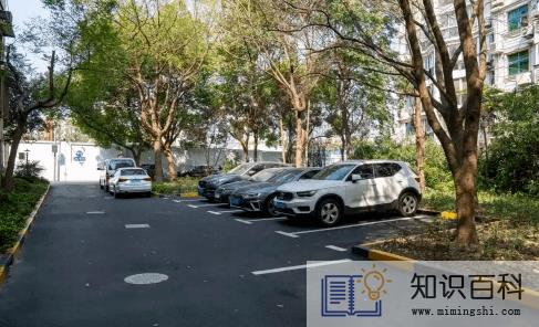 小区车位管理费合理吗1
