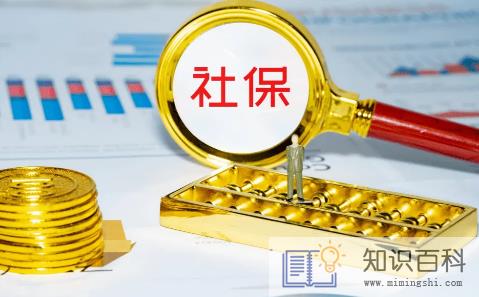 社保养老和医疗可以分开交吗1