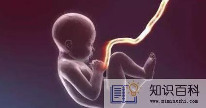 脐带血有必要保存吗4
