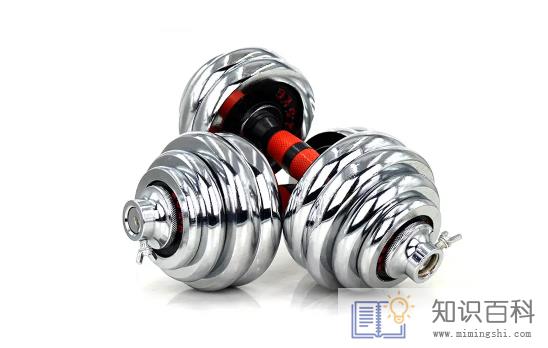 杠铃健身效果好还是哑铃效果好2