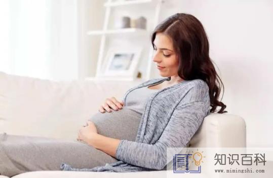 2022年几月怀孕是兔宝宝3