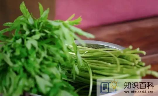 芦蒿吃叶子还是杆子4