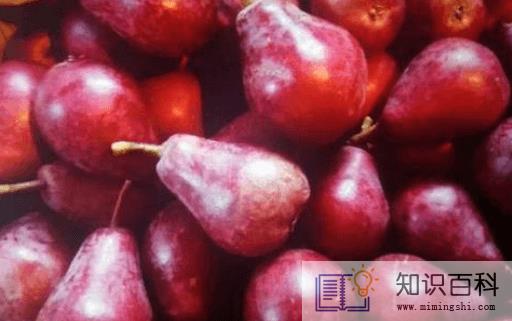 红啤梨多少钱一斤20224