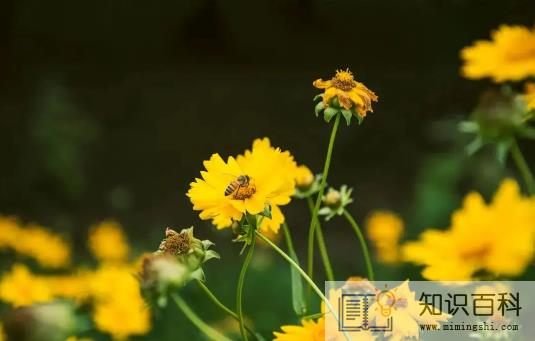 2022年6月有几个星期零几天3