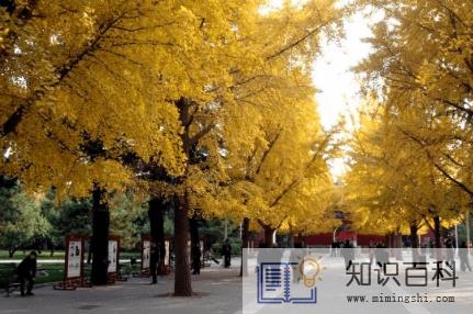 北京高温天气有几个月1