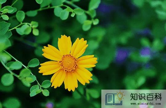 2022年6月是大月还是小月2