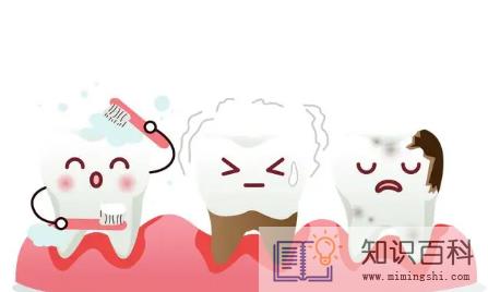 牙齿内壁掉了一块舔着难受还能长出来吗1
